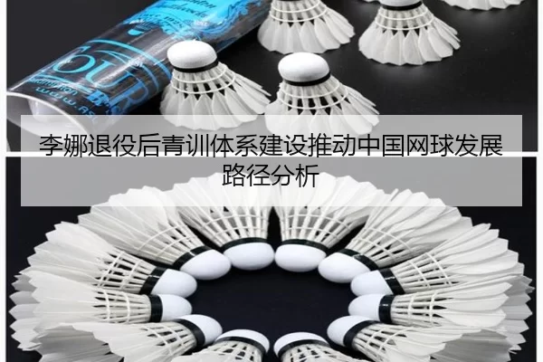 李娜退役后青训体系建设推动中国网球发展路径分析